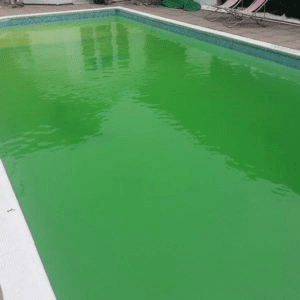 green pool water